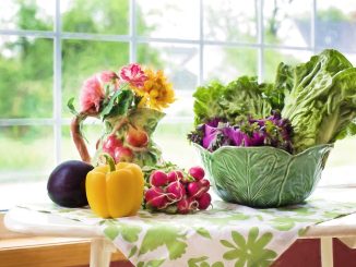 Des protéines clean pour un mode de vie sain et énergique